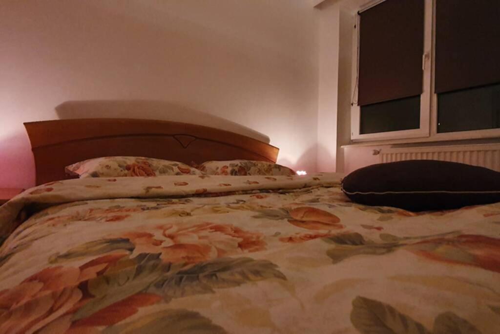 Titian'S Cozy Apartment 锡比乌 外观 照片